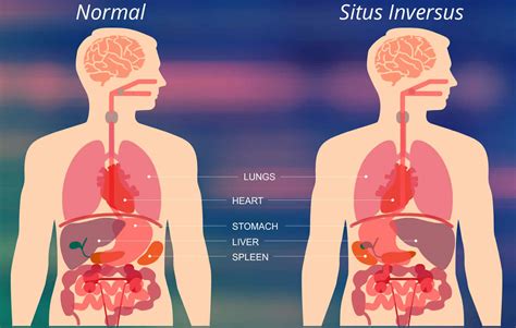 darwin dick recommends situs bokep indo viral pic