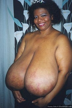 alfred ip recommends norma stitz tits pic