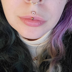 dafna wexler recommends Smallest Medusa Piercing