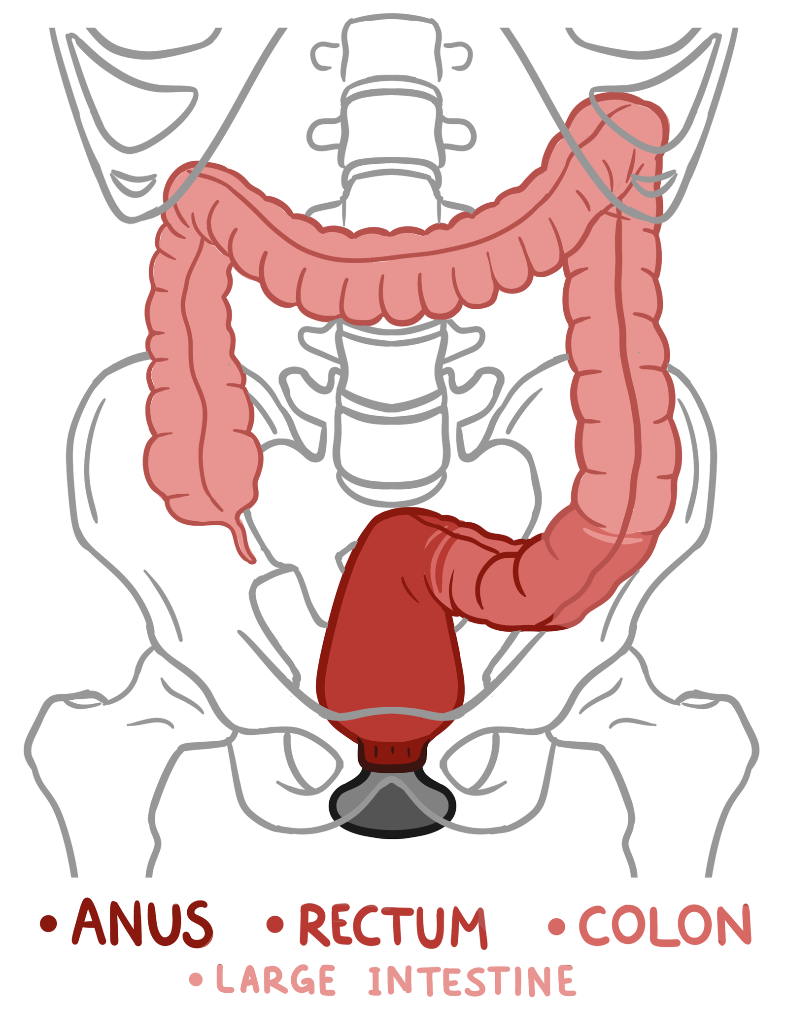 cong jing recommends anal depth training pic