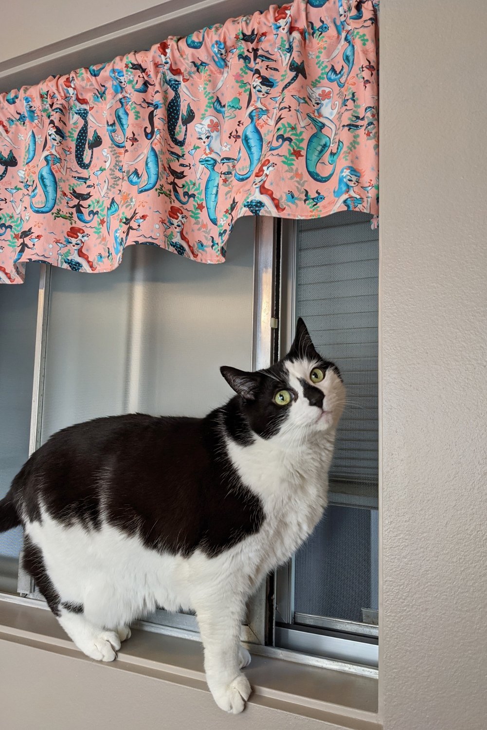 beau wilder add photo kitty valance