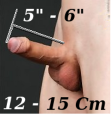 15 inches of cock