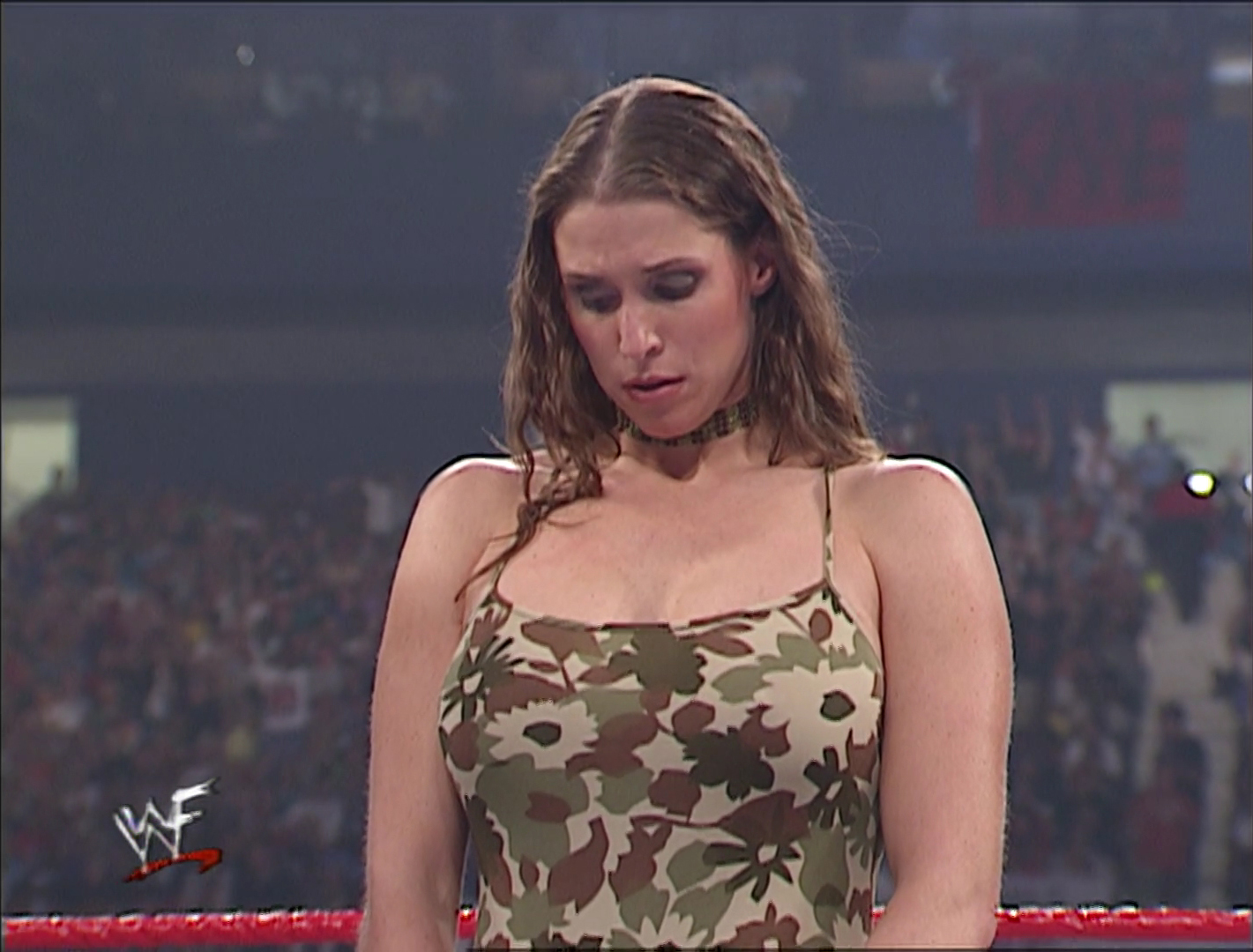 stephanie mcmahon breast