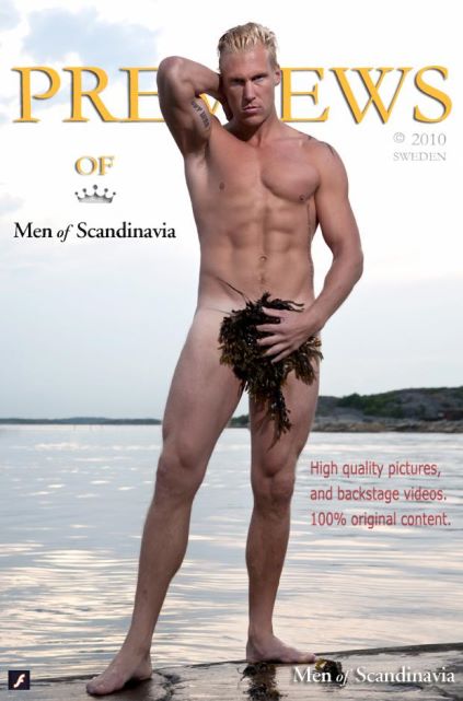 bossie bosman recommends naked men from sweden pic