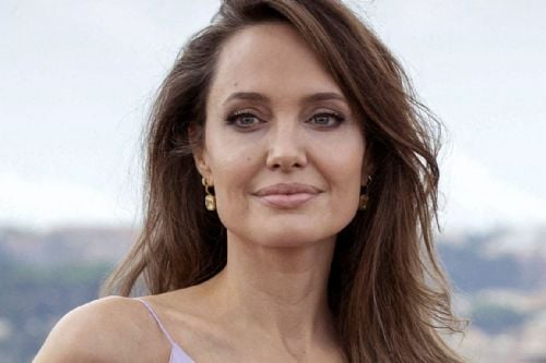 annelize schoeman recommends Angelina Jolie Fakes