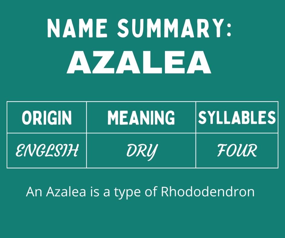 anthony sommer recommends Azlea Anastasia