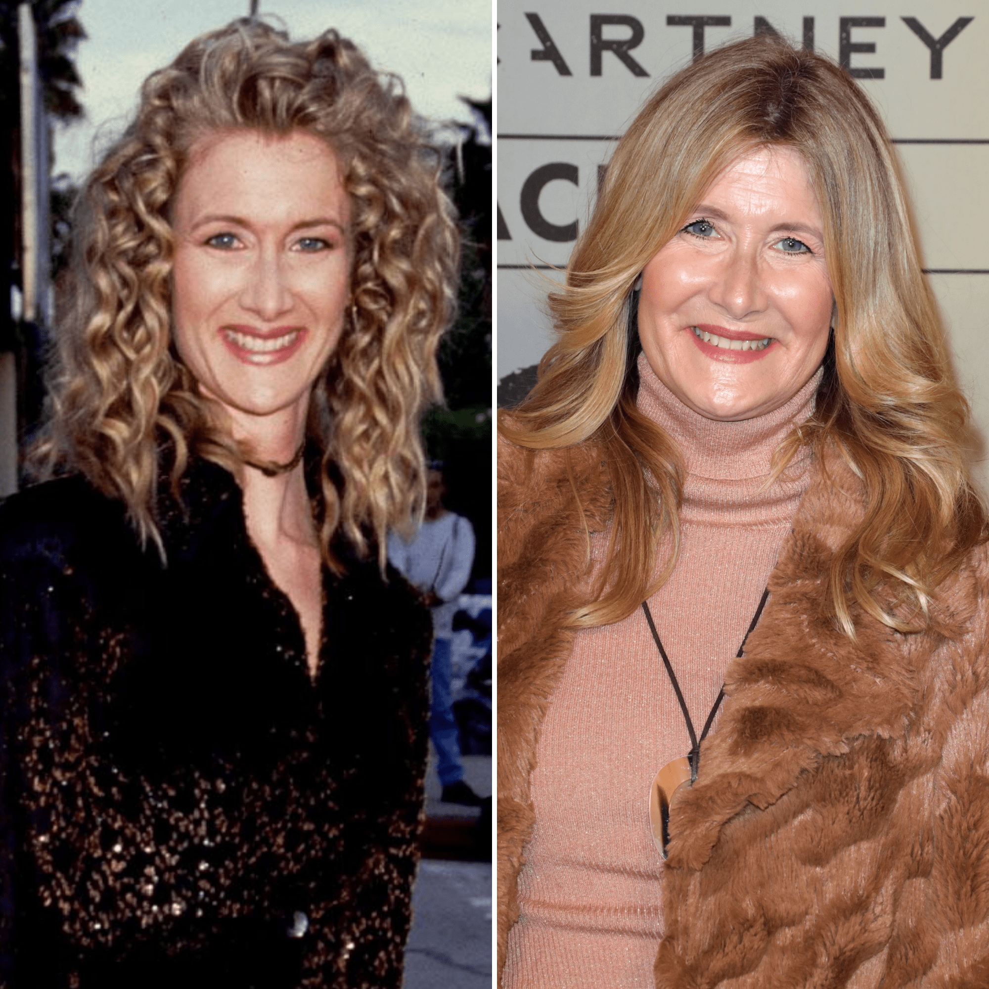 denise harney recommends laura dern sexy pic