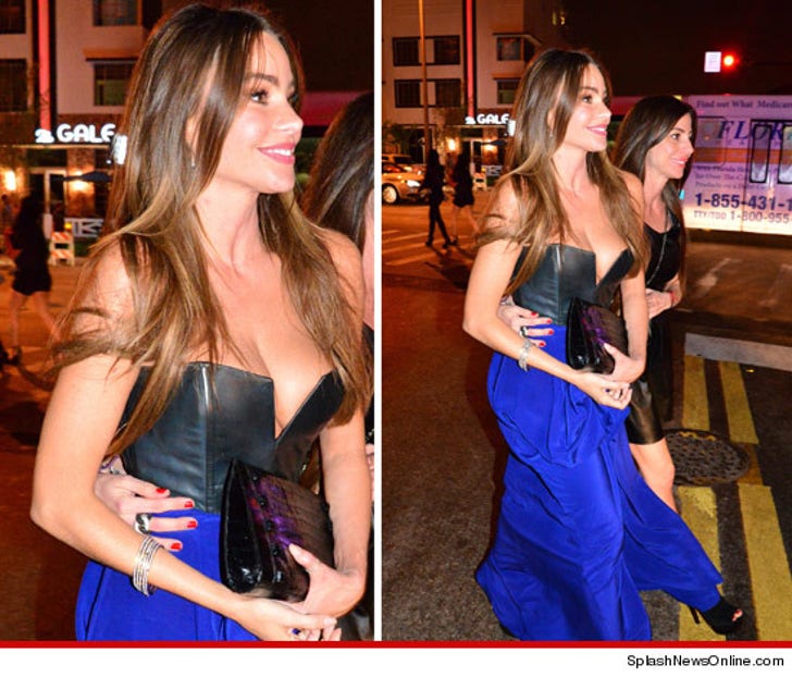 Best of Sofia vergara niple