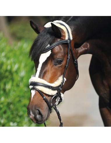 bennett brantley recommends ivy reins pic