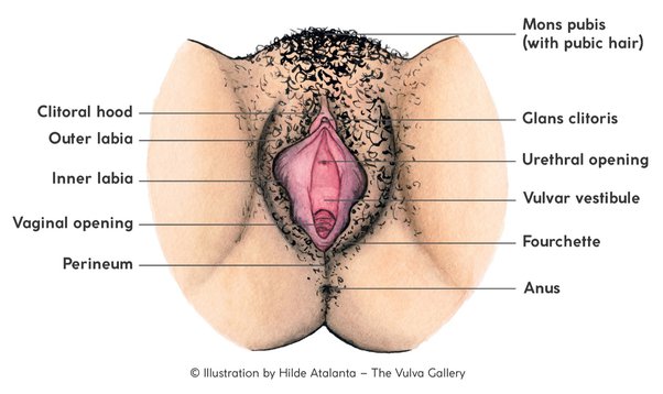 blaine crooks recommends largest clit pic