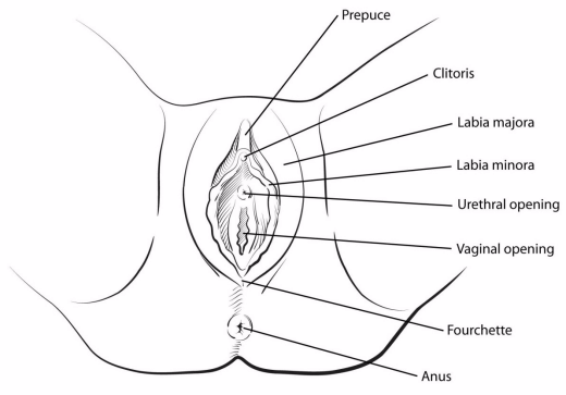 camden mccain recommends needle thru clit pic