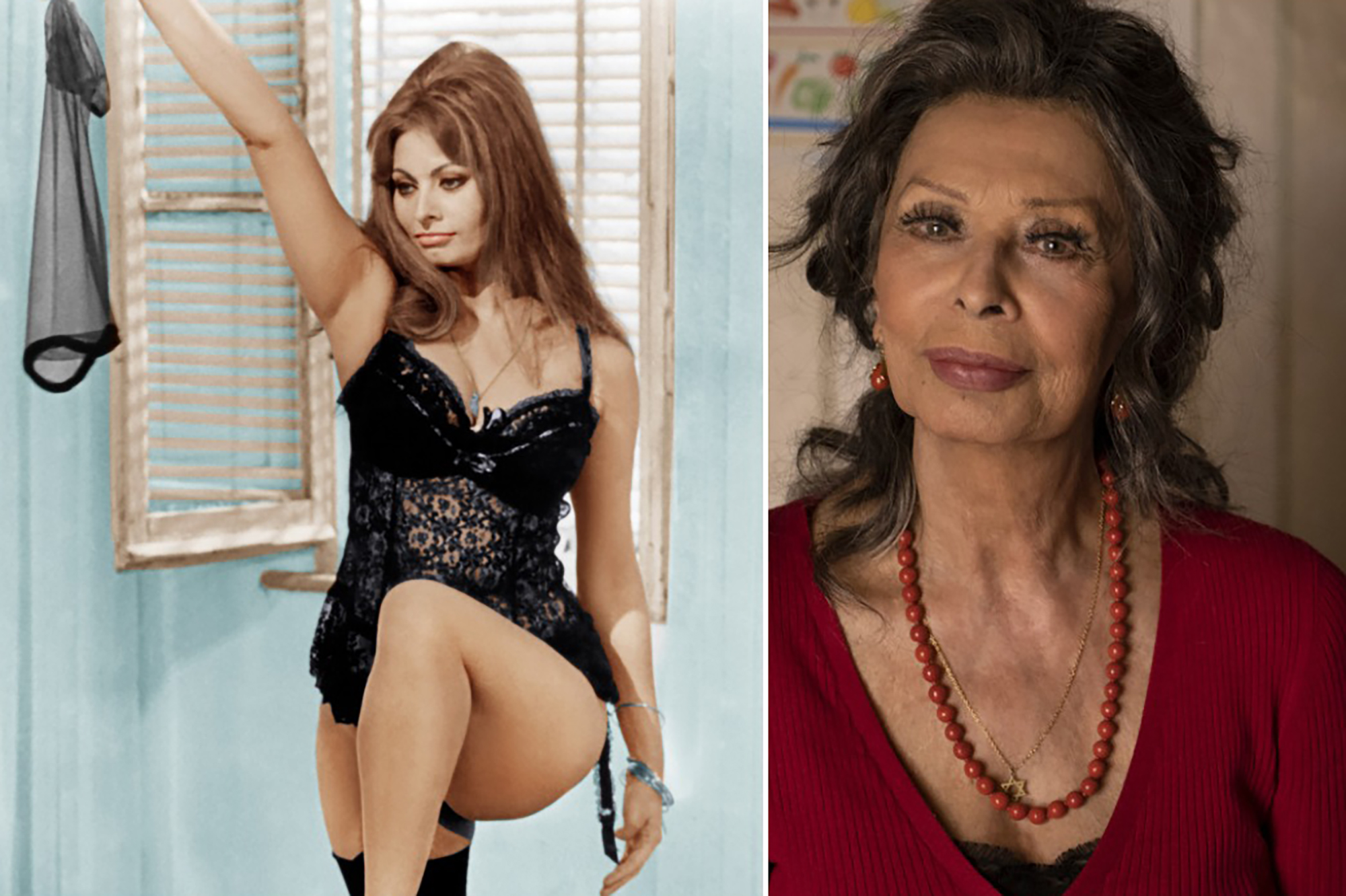 crysniel larumbe recommends Sophia Loren Breasts