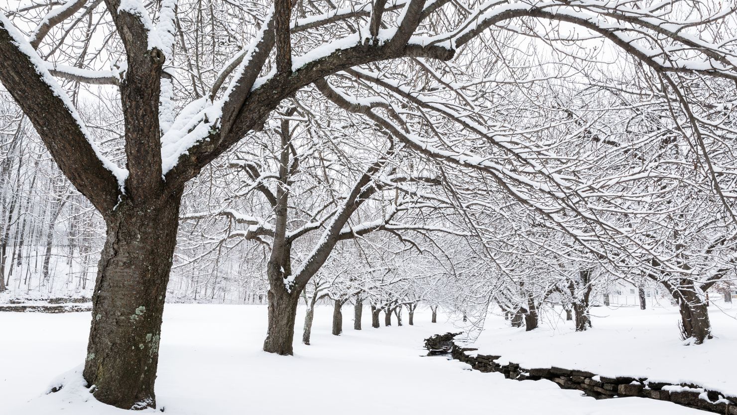 angelina as share winter bell porn photos